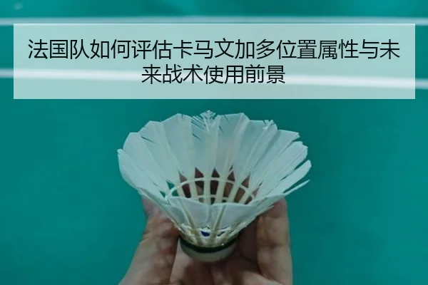法国队如何评估卡马文加多位置属性与未来战术使用前景